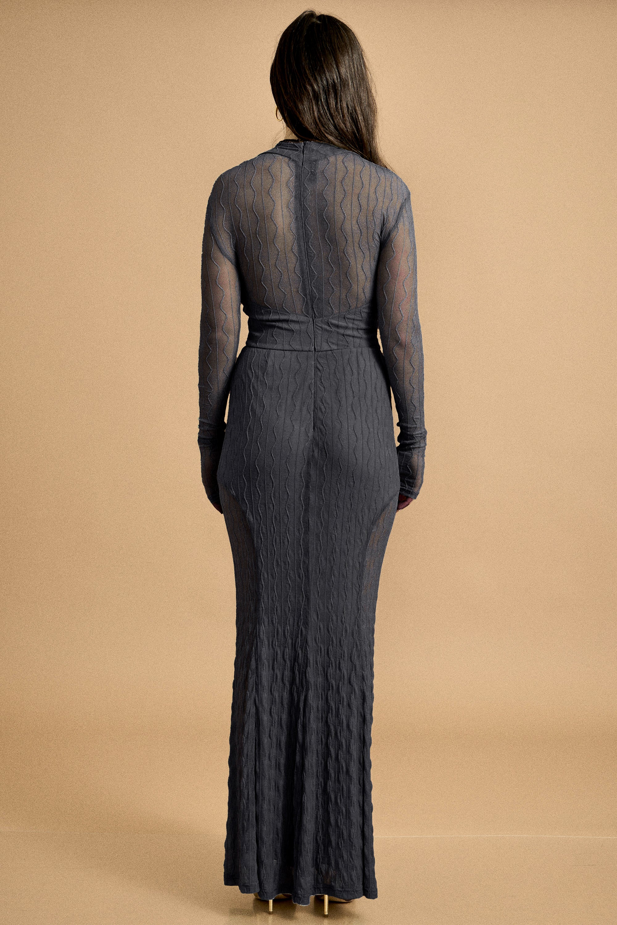 Mesh Long Sleeve Maxi Dress