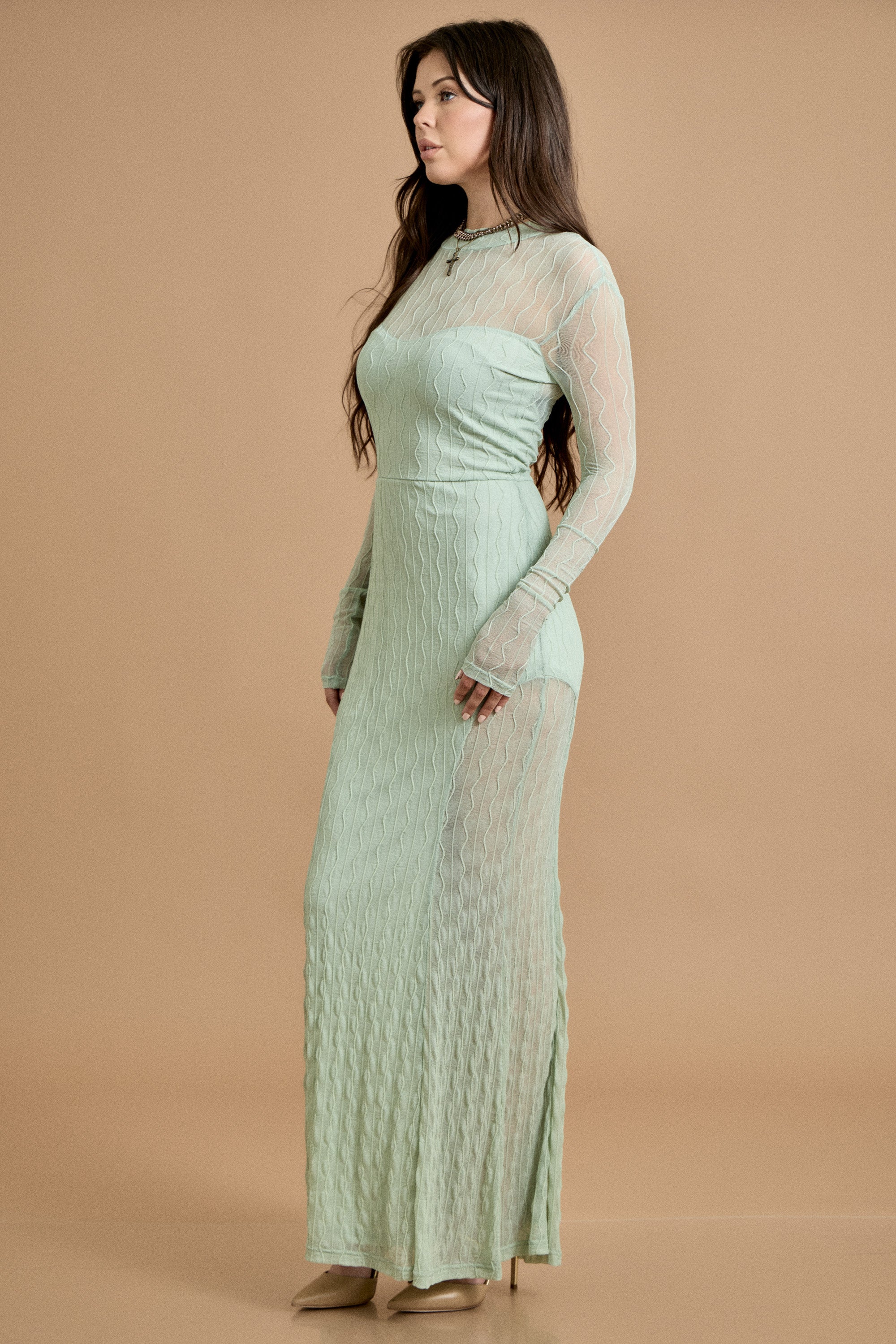 Mesh Long Sleeve Maxi Dress