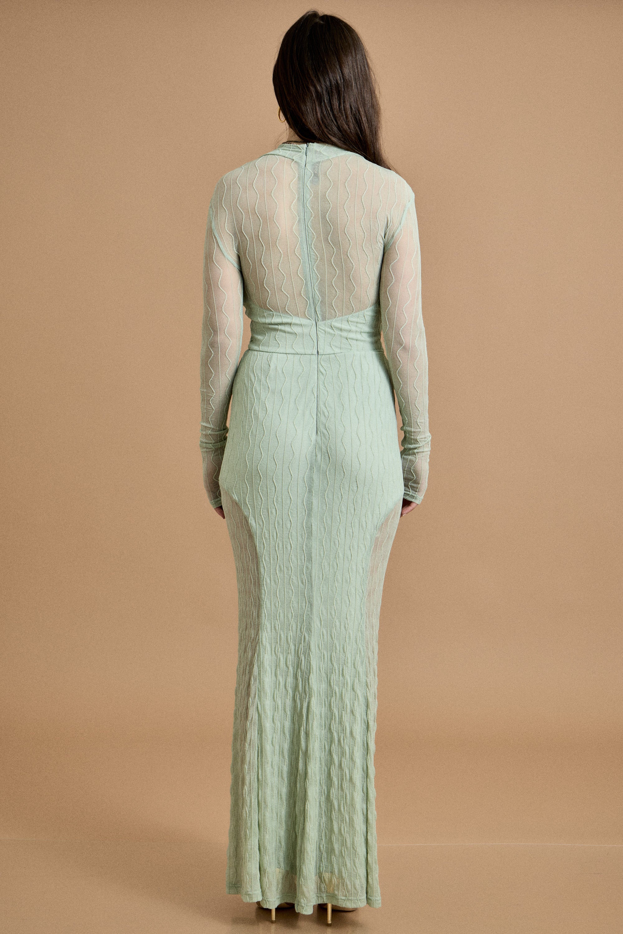 Mesh Long Sleeve Maxi Dress