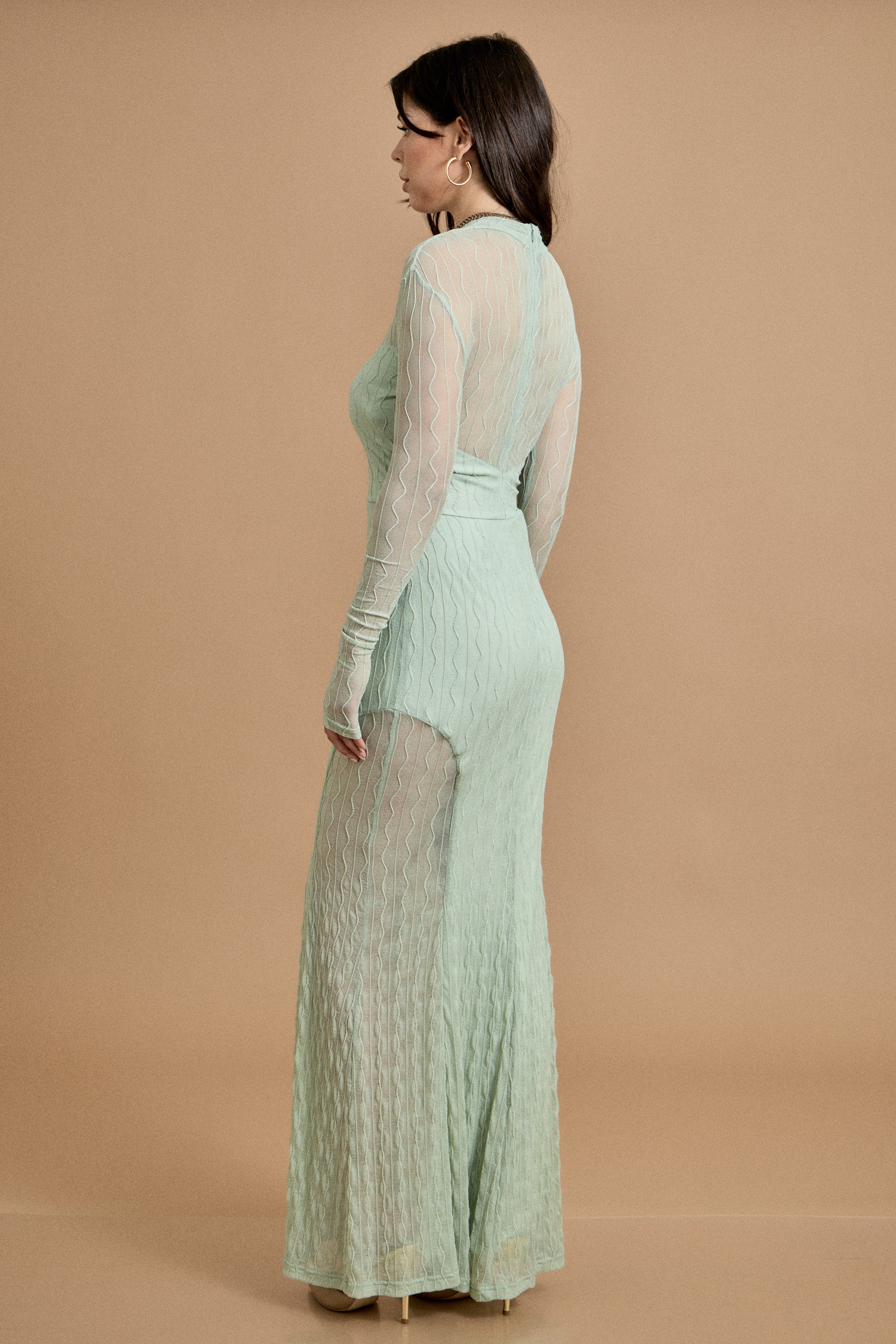 Mesh Long Sleeve Maxi Dress