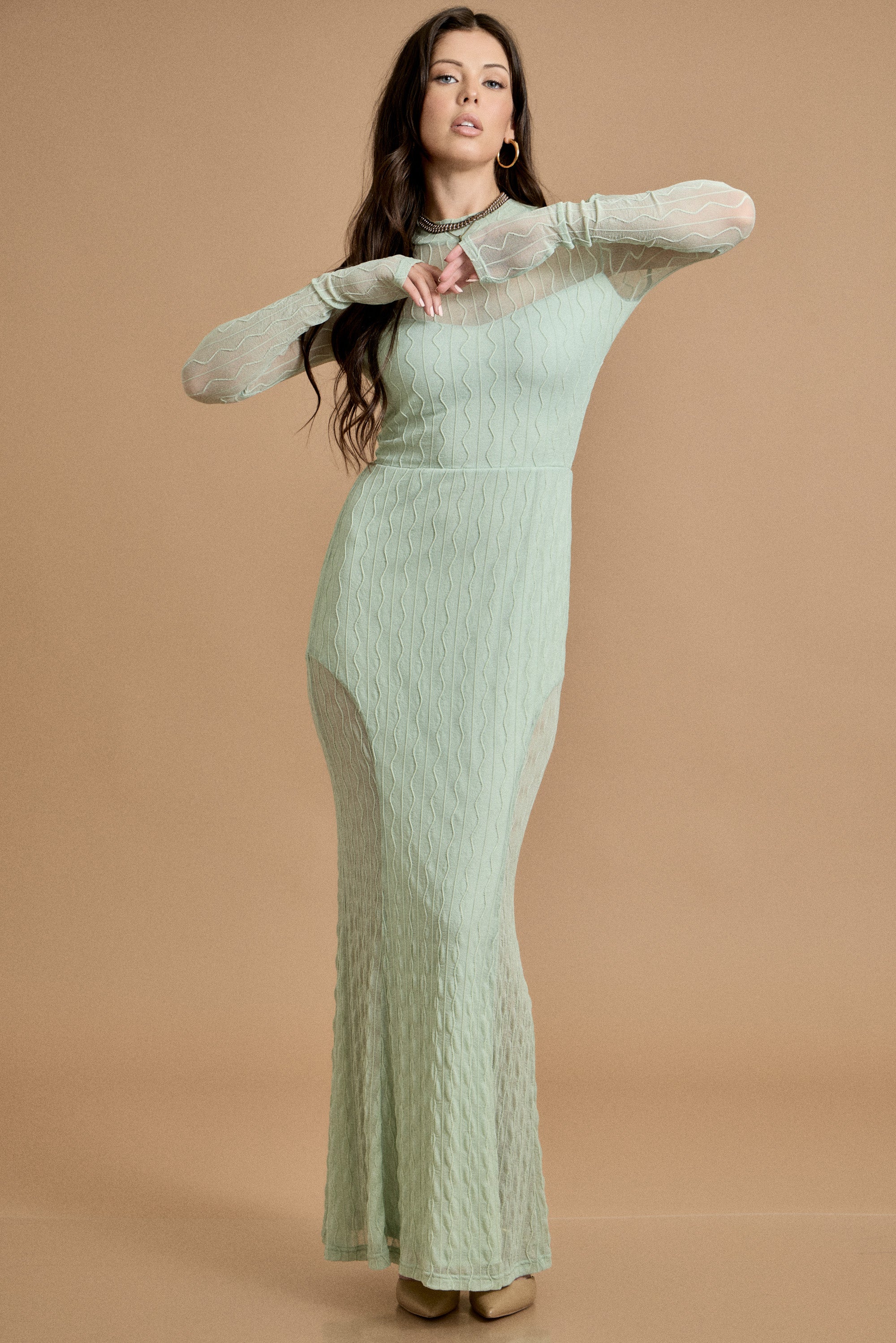 Mesh Long Sleeve Maxi Dress