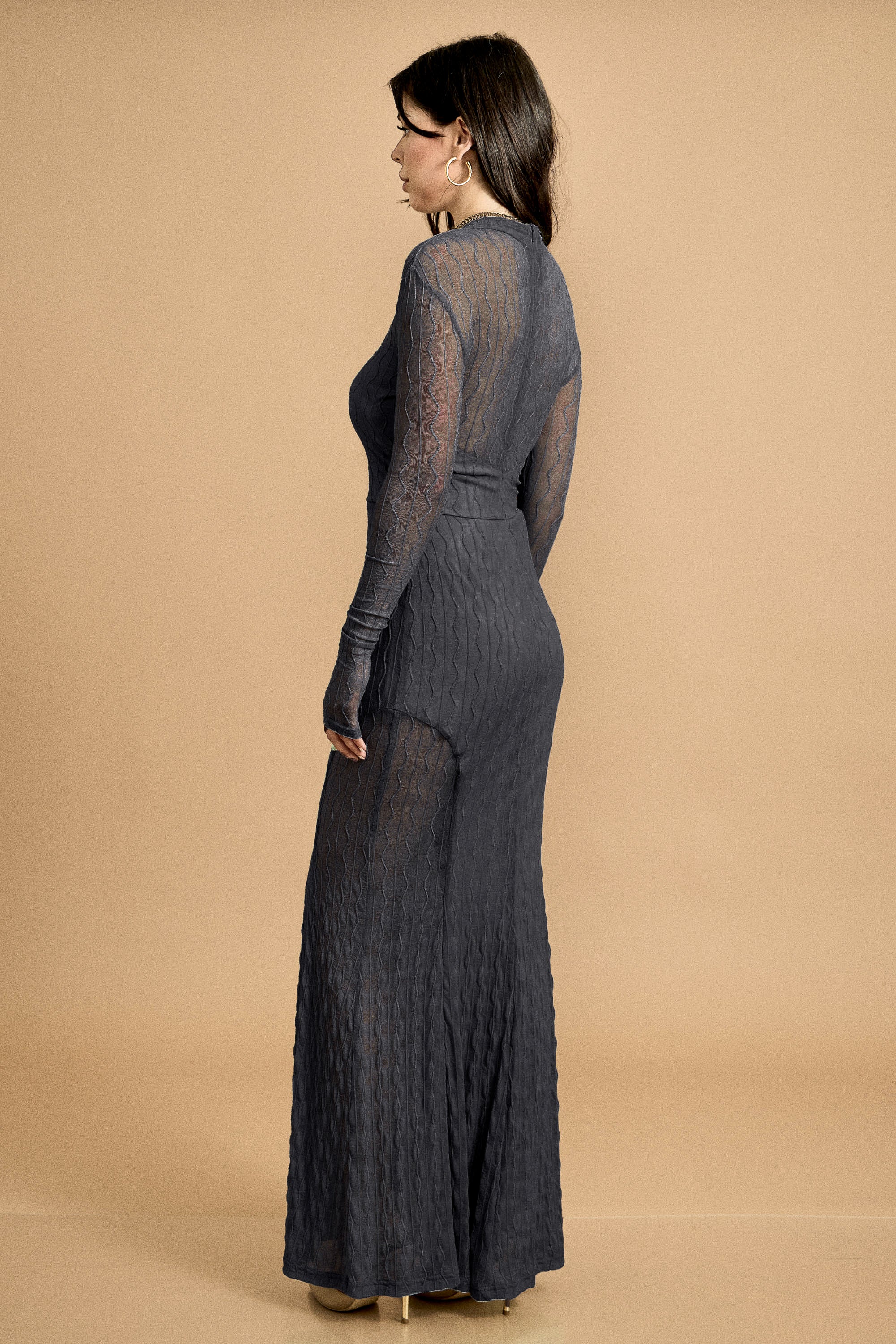 Mesh Long Sleeve Maxi Dress