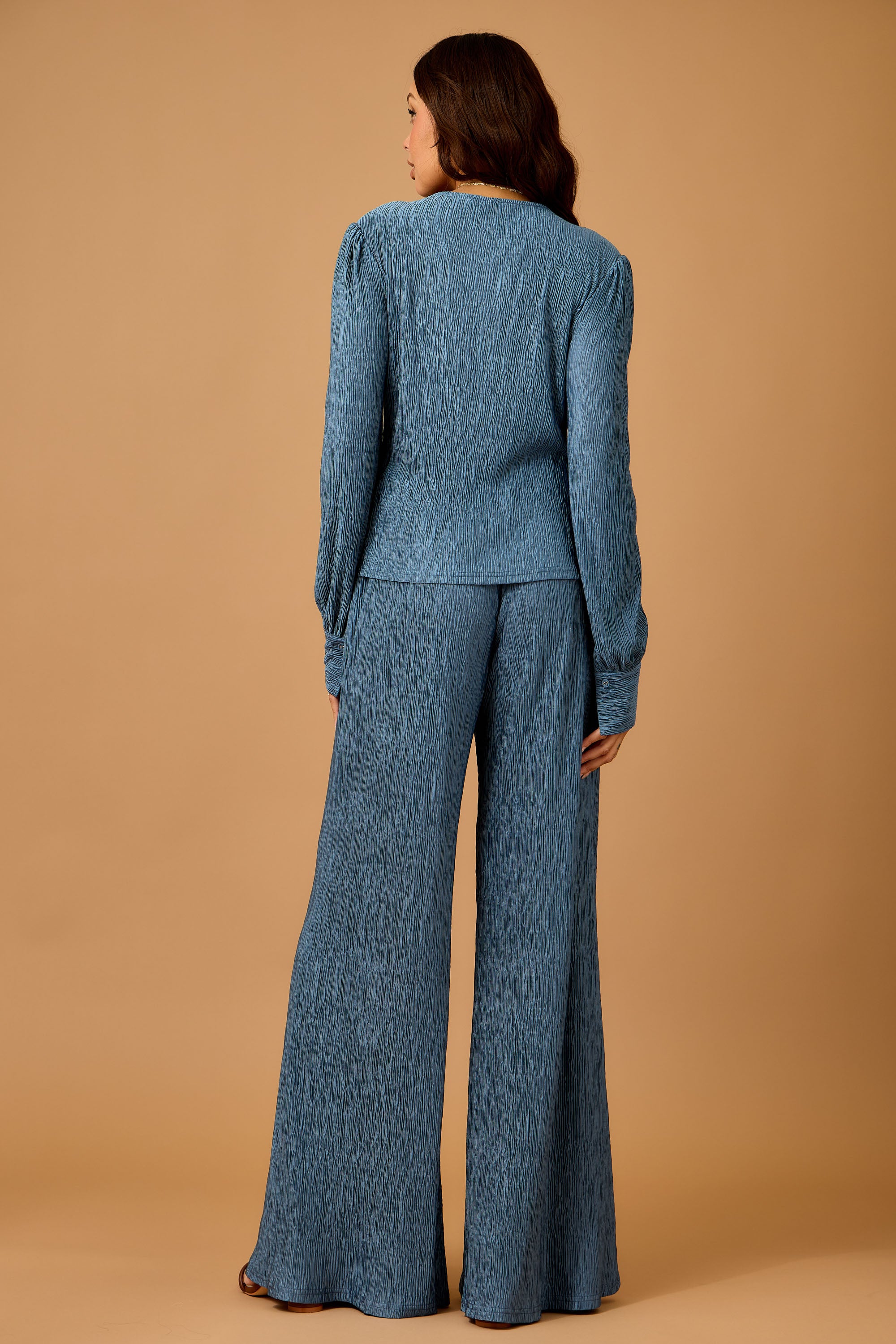 Fall Ruffled Textured Top and Wide Leg Pants Set