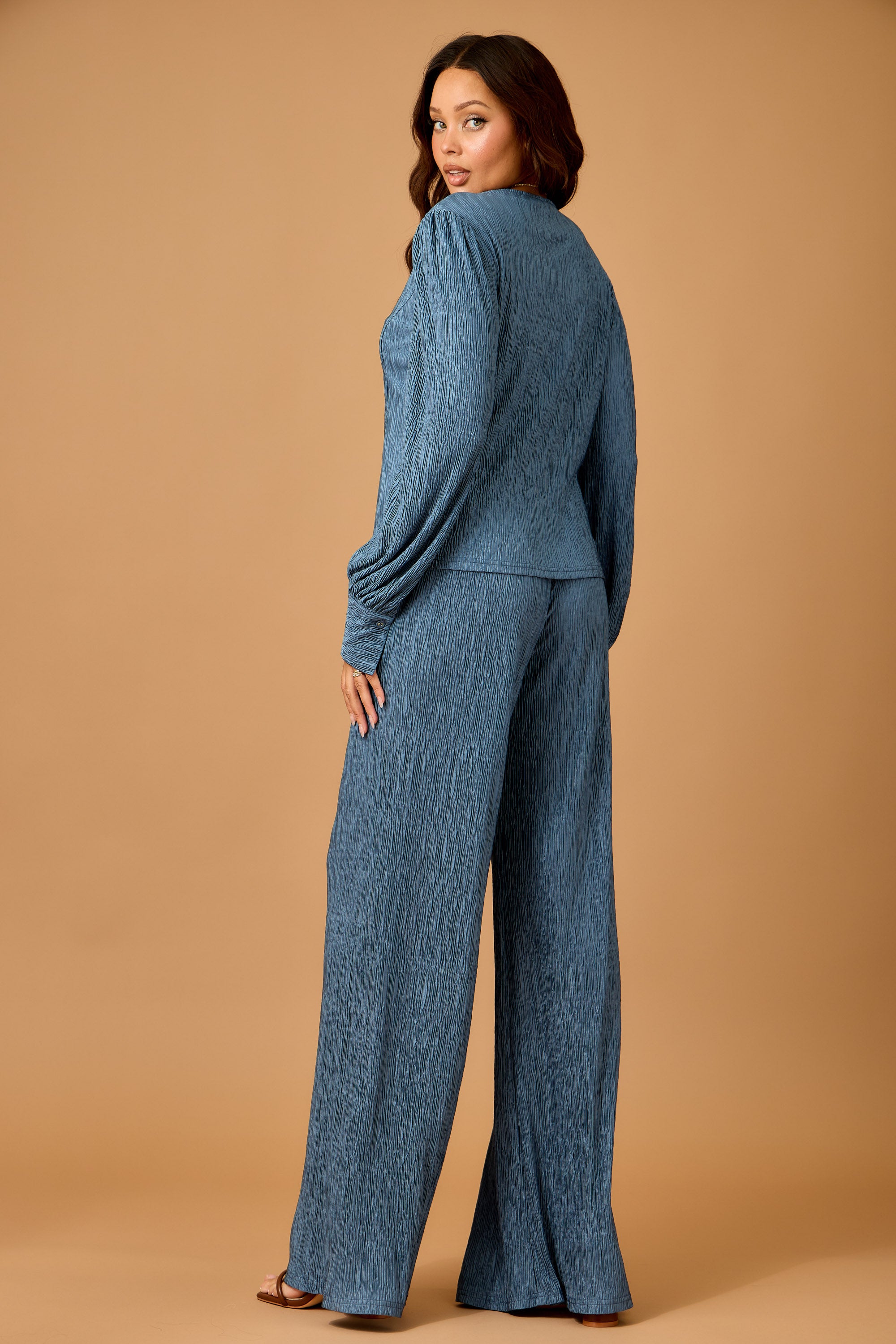 Fall Ruffled Textured Top and Wide Leg Pants Set